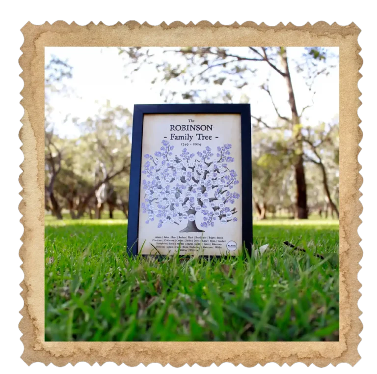 Jacaranda Pedigree Tree