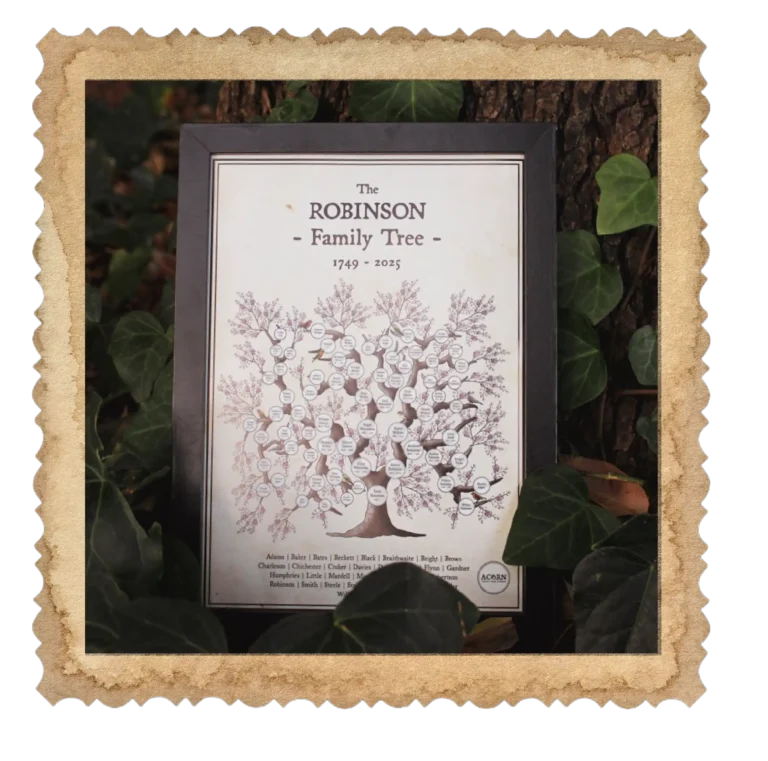 Cherry Blossom Pedigree Tree